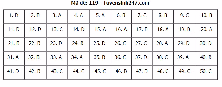 Đáp án tham khảo đề thi tốt nghiệp THPT năm 2020 môn Toán mã đề 119. Nguồn: TTHN