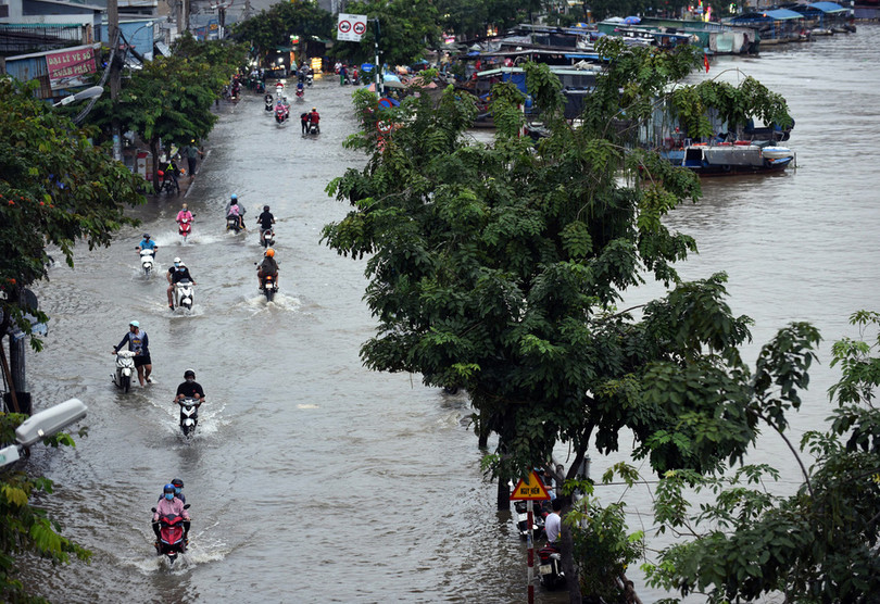 Triều cường mênh mông không thể biết đâu là đường, đâu là kênh (Ảnh: Duyên Phan) Triều cường mênh mông không thể biết đâu là đường, đâu là kênh (Ảnh: Duyên Phan)