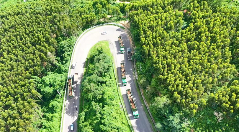 THILOGI đầu tư 35 xe chuyên dụng vận chuyển gia súc (bò, heo) THILOGI đầu tư 35 xe chuyên dụng vận chuyển gia súc (bò, heo)