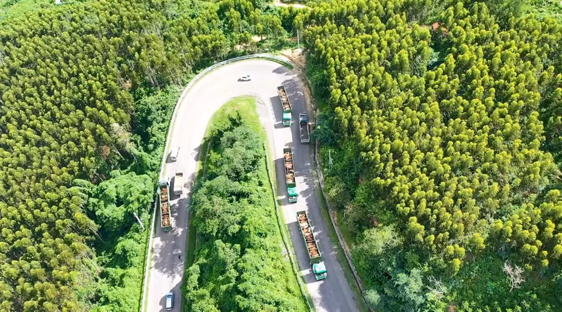 THILOGI đầu tư 35 xe chuyên dụng vận chuyển gia súc (bò, heo)