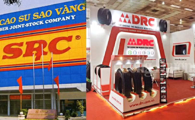 Tình cảnh trái ngược của 2 thương vụ đấu giá DRC và SRC có lẽ đến từ đất. SCR hấp dẫn vì nó có... "đất vàng".