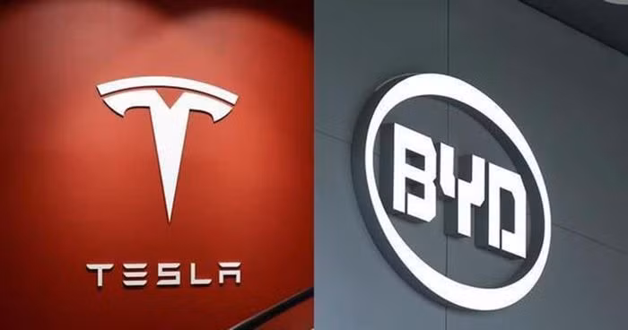 Xe điện BYD bị Tesla vượt mặt ngay trên "sân nhà"