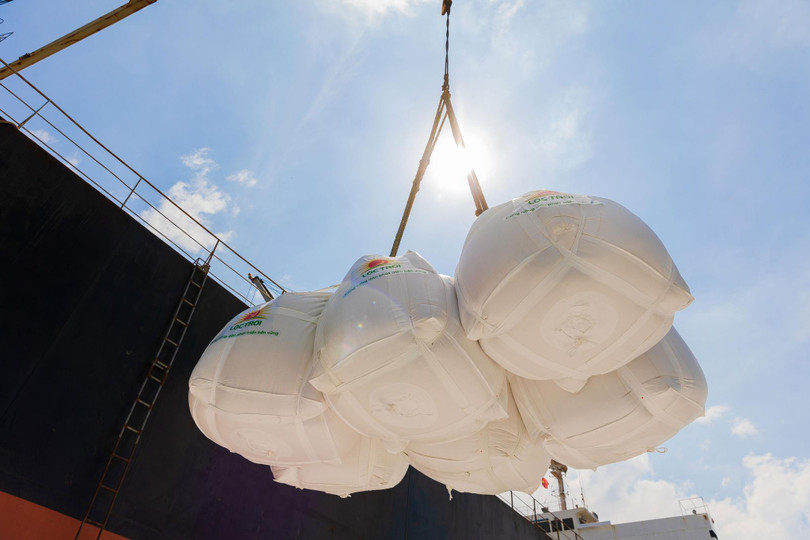 Giá gạo thế giới đang nóng lên, trong khi gạo VN vẫn đứng yên Giá gạo thế giới đang nóng lên, trong khi gạo VN vẫn đứng yên