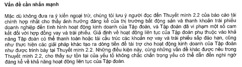 Ý kiến của kiểm toán viên về báo cáo tài chính hợp nhất của Novaland