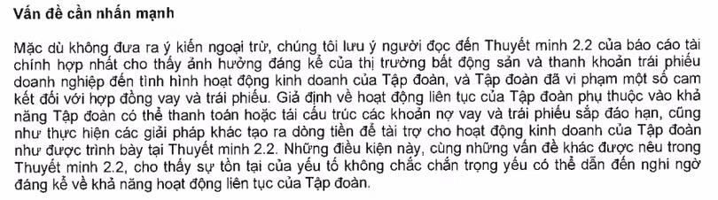Ý kiến của kiểm toán viên về báo cáo tài chính hợp nhất của Novaland