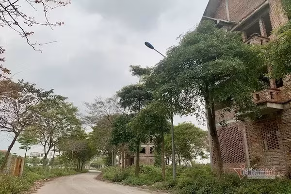 Nhiều căn biệt thự bỏ hoang ở khu đô thị Hà Phong (Mê Linh, Hà Nội)