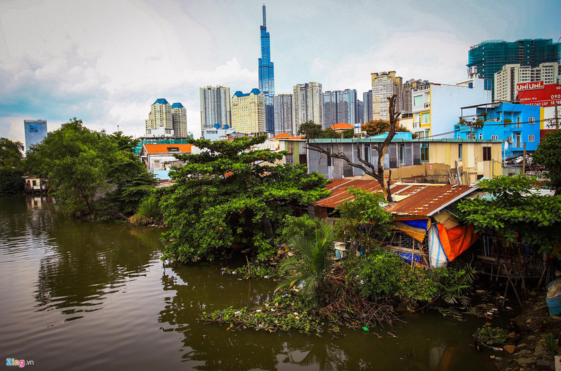 'Rung be tong' tai khu do thi xa hoa tren duong Nguyen Huu Canh hinh anh 11 