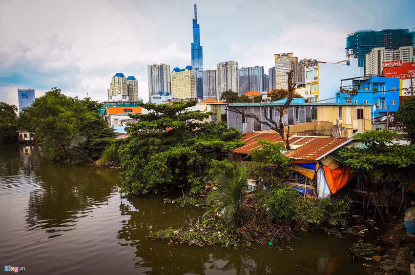 'Rung be tong' tai khu do thi xa hoa tren duong Nguyen Huu Canh hinh anh 11 