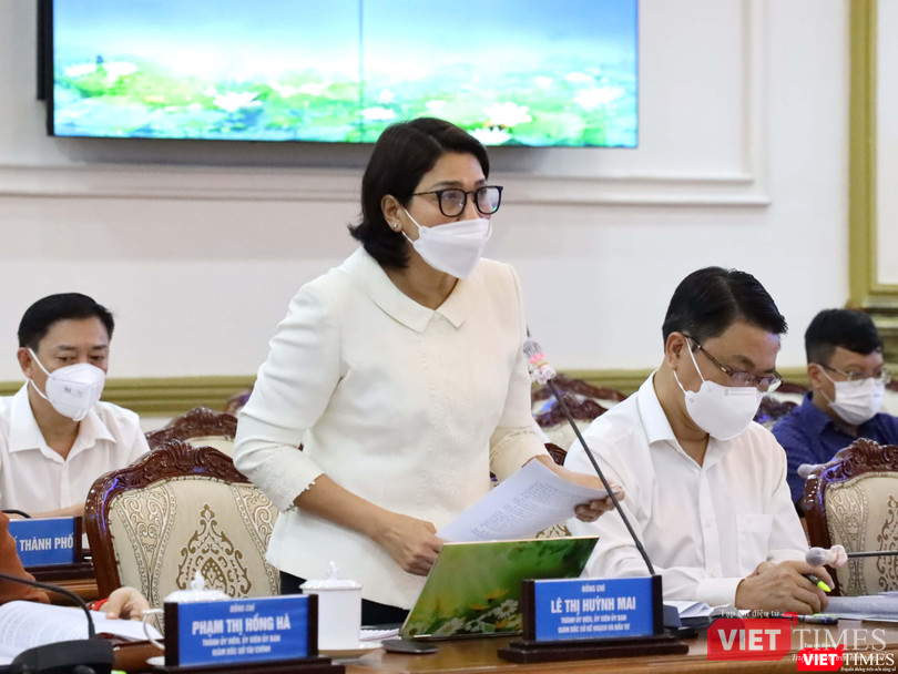 Giám đốc Sở KH-ĐT TP.HCM - bà Lê Thị Huỳnh Mai