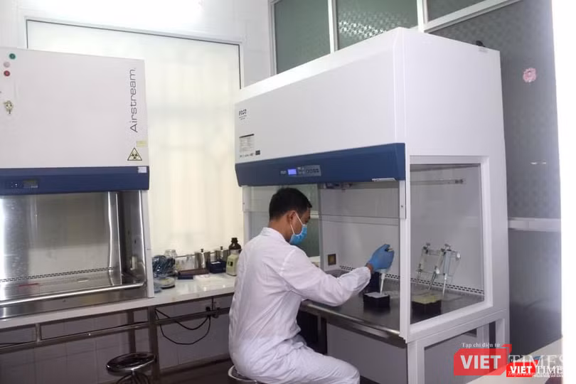 Các nhân viên xét nghiệm và truy vết làm việc xuyên đêm tại CDC Hải Dương (Ảnh: BYT)