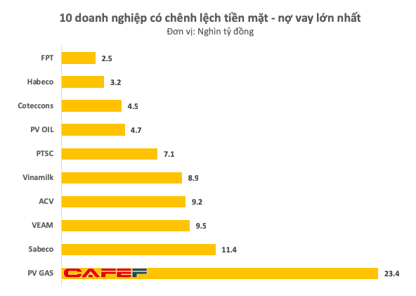 Đau đầu vì nhiều tiền: Chân dung những doanh nghiệp đang nắm giữ lượng tiền mặt lên tới cả chục nghìn tỷ - Ảnh 2.