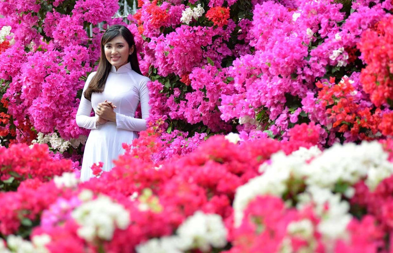 Điểm bắn pháo hoa giao thừa trên cả nước không thể bỏ lỡ