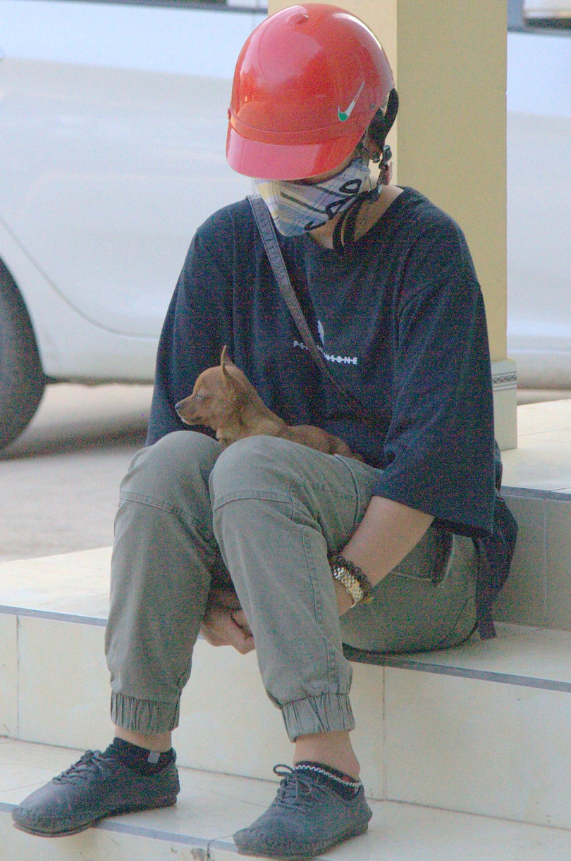 Người đàn bà và con chó nhỏ đang chờ gã phóng viên chụp ảnh. Ảnh Huỳnh Phan. Người đàn bà và con chó nhỏ đang chờ gã phóng viên chụp ảnh. Ảnh Huỳnh Phan.