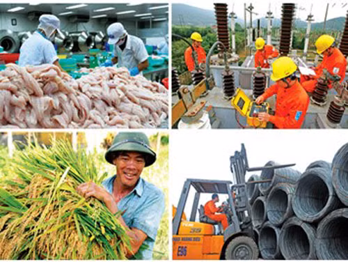 Tiến hành Tổng điều tra kinh tế từ 1/3/2017.