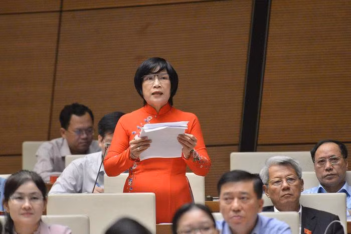 Đại biểu Mai Thị Ánh Tuyết, đoàn đại biểu Quốc hội tỉnh An Giang