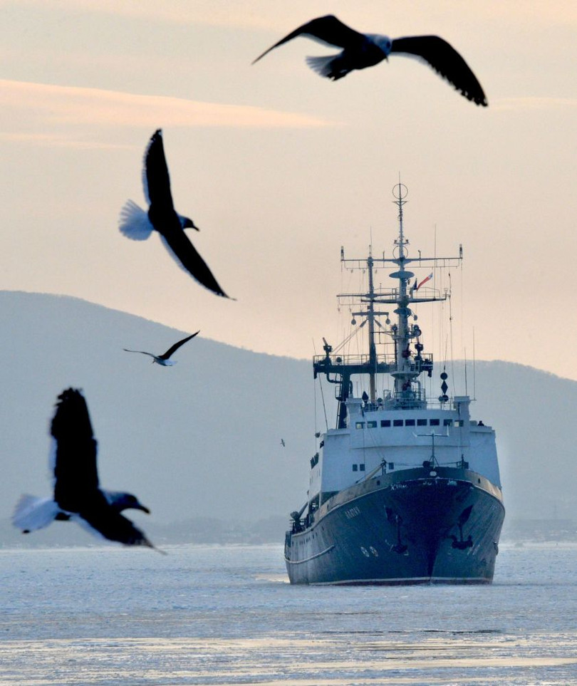 Tàu kéo cứu hộ 