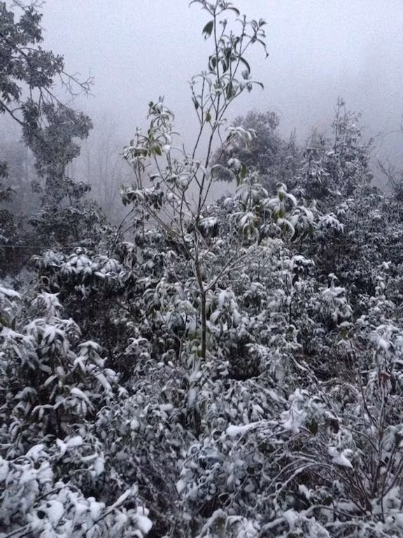 -8 độ C, tuyết phủ trắng miền Tây xứ Nghệ ảnh 5