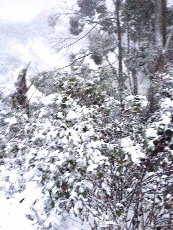 -8 độ C, tuyết phủ trắng miền Tây xứ Nghệ ảnh 2