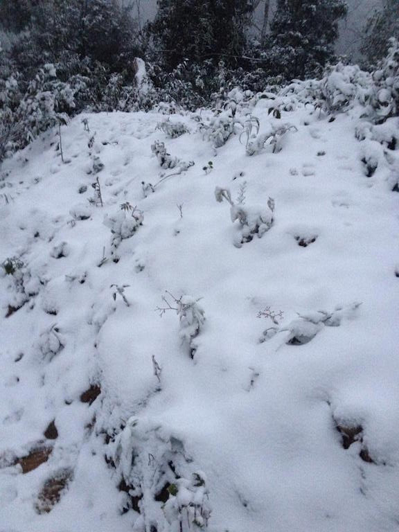 -8 độ C, tuyết phủ trắng miền Tây xứ Nghệ ảnh 9