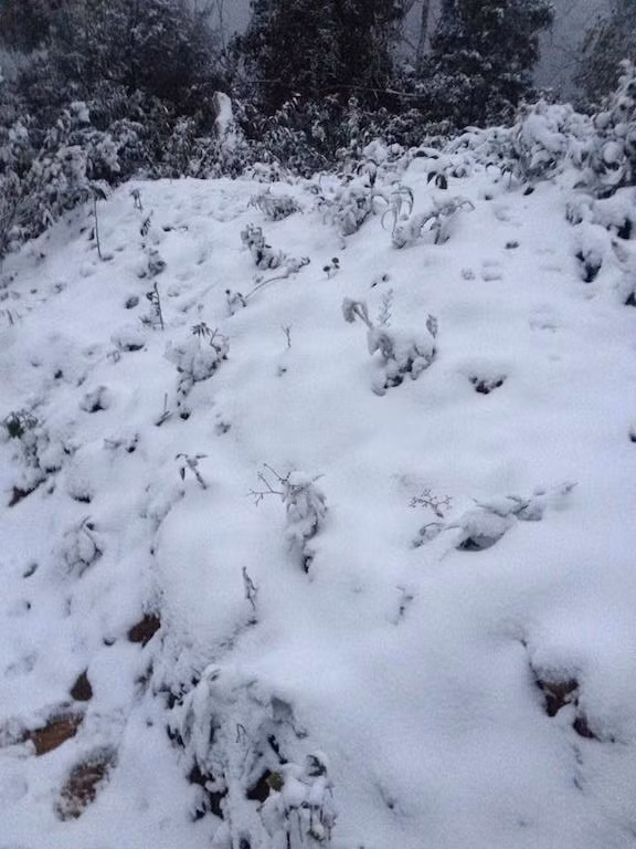 -8 độ C, tuyết phủ trắng miền Tây xứ Nghệ ảnh 9