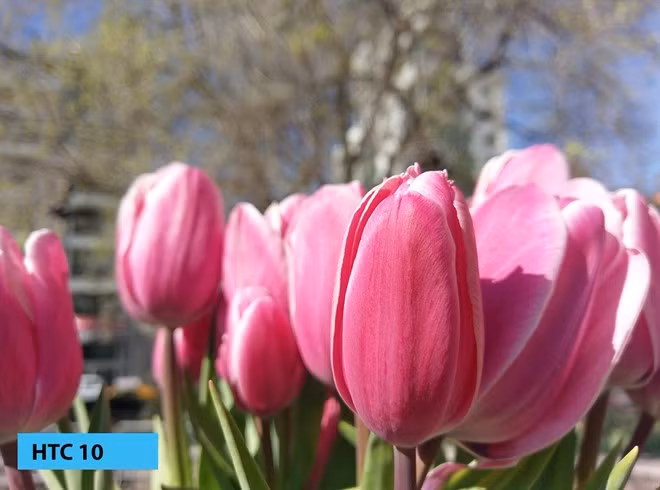 Camera trên smartphone đã đạt đỉnh ảnh 1