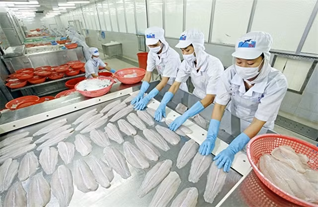 “Vua cá tra” HVG lĩnh án phạt nặng từ UBCKNN. (Ảnh: Internet)