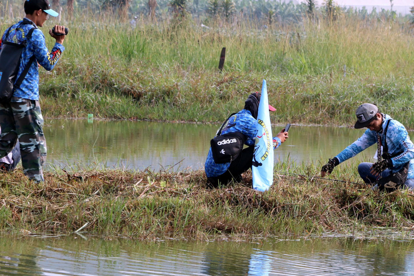 Lập tức, các trọng tài đổ xô tới chụp ảnh, quay video, và cân con cá.