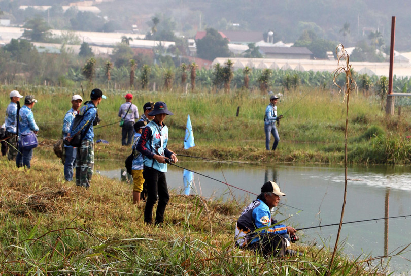 Các cần thủ chăm chú theo dõi...