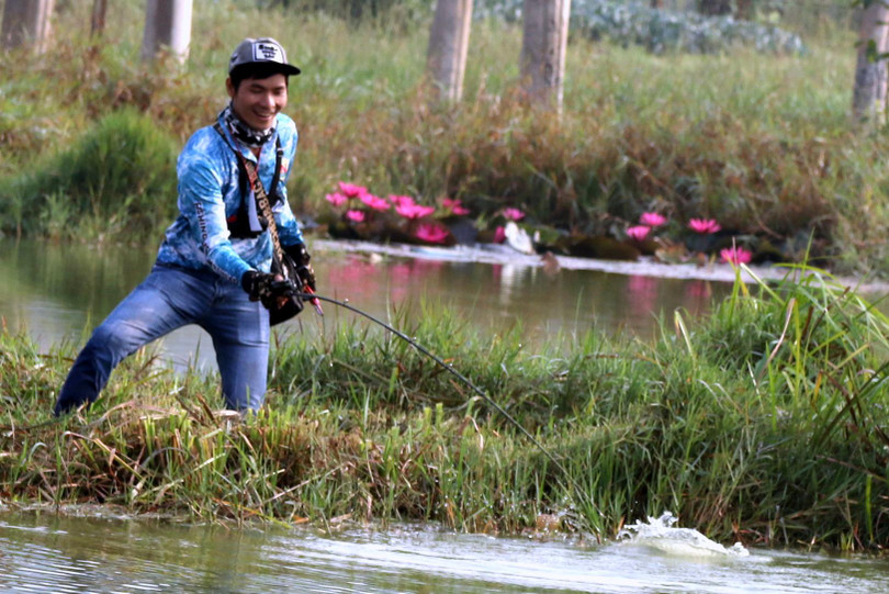 Một cần thủ đã móc được cá lóc...