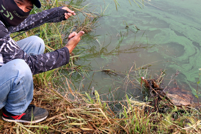 Anh ta vẫn vui, mặc dù phải vất vả tháo bao xi măng khỏi lưỡi câu.