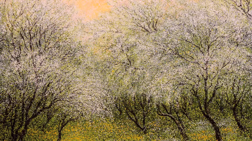 Vườn xuân, Acrylic, 100x80cm, sáng tác năm 2019 của họa sĩ Nguyễn Lâm