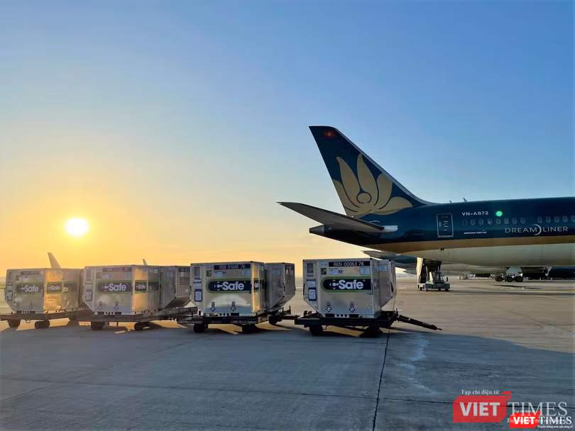 Chuyến bay mang 800.000 liều vaccine đã hạ cánh an toàn đến TP.HCM - Ảnh: VNA