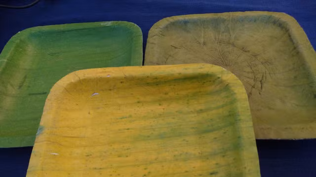 Khay đựng thức ăn sinh thái được làm từ nguyên liệu lá chuối ép (Ảnh: Vilabe)