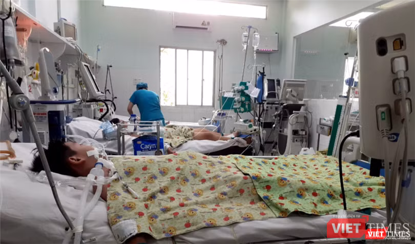 Bệnh nhân sốt xuất huyết vẫn đang tăng nhanh trên địa bàn TP.HCM Bệnh nhân sốt xuất huyết vẫn đang tăng nhanh trên địa bàn TP.HCM