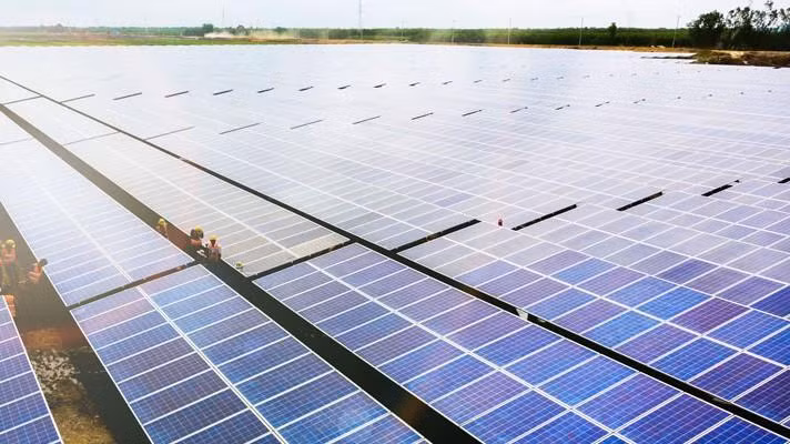 Dự án Nhà máy năng lượng mặt trời Phù Mỹ (Nguồn: BCG)