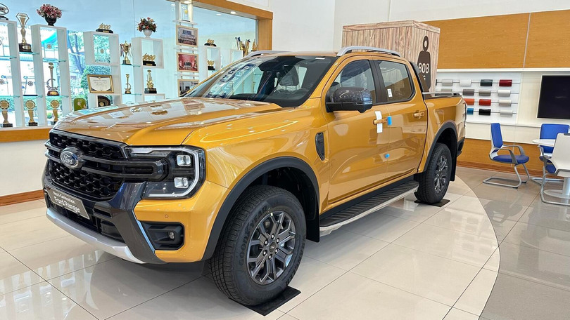 wildtrak cam 2024.jpeg