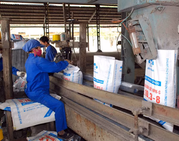 Ảnh minh họa. (Nguồn: Internet)