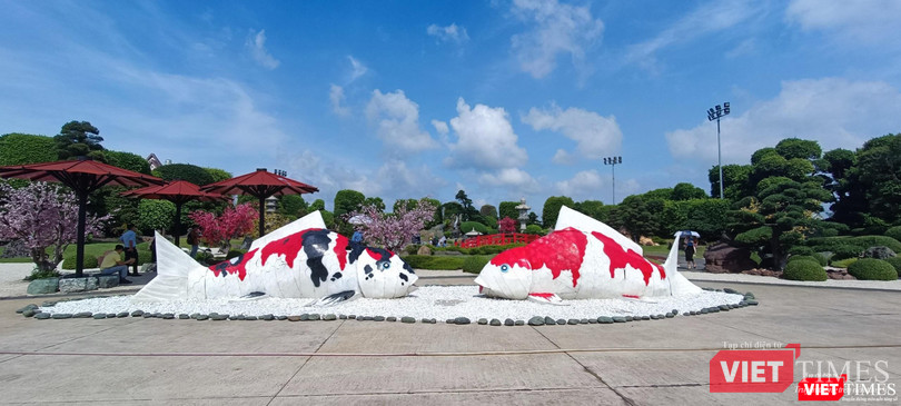 Công viên cá Koi Rin Rin Park - công viên cá Koi có quy mô lớn nhất Việt Nam