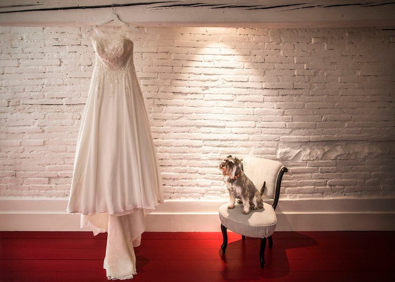 Khi cô dâu và chú rể bị 'cướp' vai chính trong ảnh cưới ảnh 20