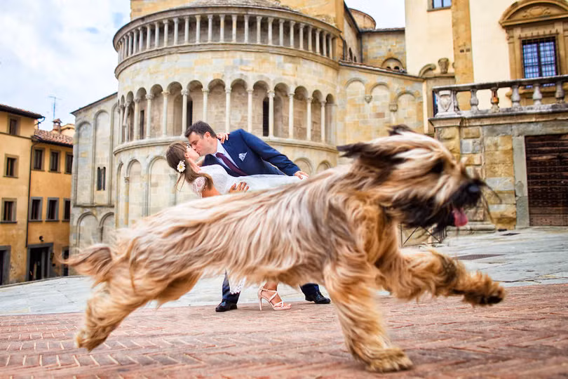 Khi cô dâu và chú rể bị 'cướp' vai chính trong ảnh cưới ảnh 12