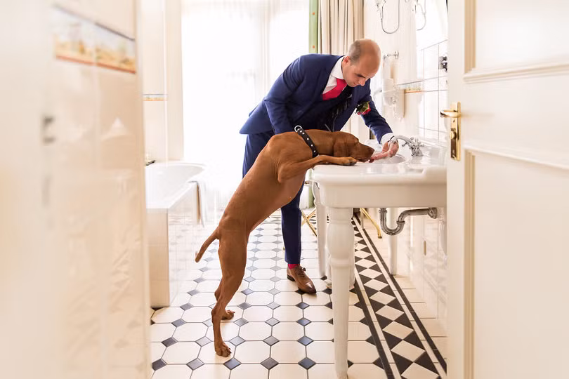 Khi cô dâu và chú rể bị 'cướp' vai chính trong ảnh cưới ảnh 9