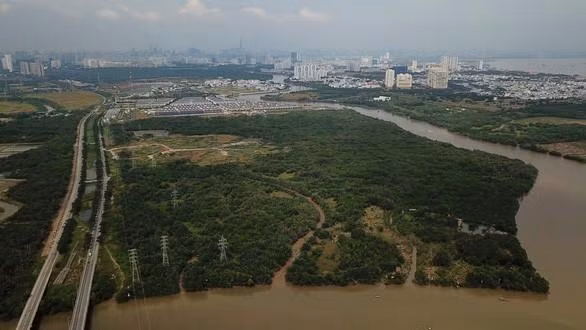 Khu đất 32 ha của Công ty Tân Thuận bán cho Công ty Quốc Cường Gia Lai ở xã Phước Kiển, huyện Nhà Bè, TP.HCM - Ảnh: TL