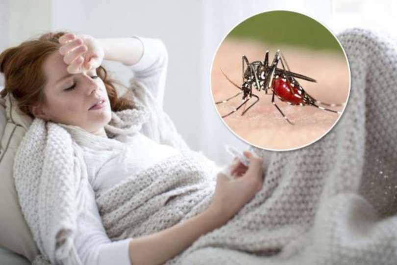 Sốt rét là bệnh truyền nhiễm gây ra bởi ký sinh trùng Plasmodium, lây truyền từ người bệnh sang người lành khi bị muỗi đốt. Ảnh minh họa