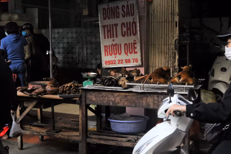 Quán bán thịt chó mang về ở chợ Khâm Thiên vẫn đông khách. Có cả chó luộc và thui sẵn lẫn chó sống mang về. Có lẽ có những người muốn "xả xui" cả năm.