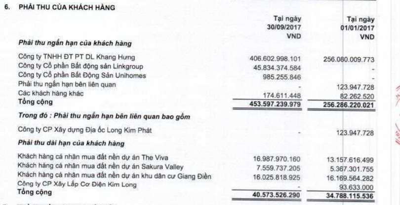 Những điều trông thấy từ BCTC mà LDG vừa công bố… ảnh 1