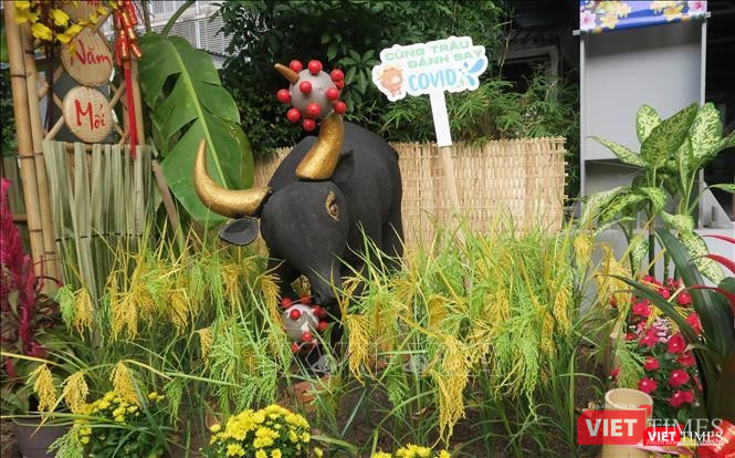 Hình ảnh con trâu đánh bay COVID-19 sinh động của Khoa Nội Tim mạch-Ảnh BVCC