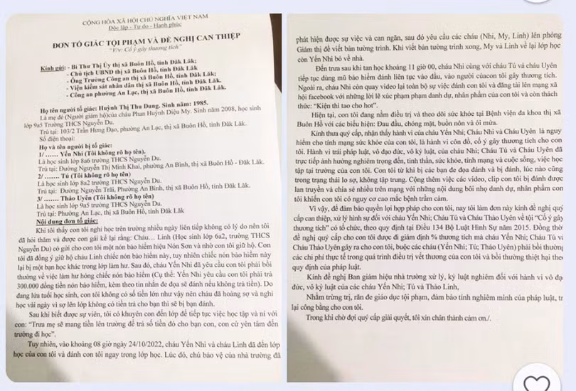 Đơn dự thảo của mẹ cháu DM trước khi gửi các cơ quan chức năng