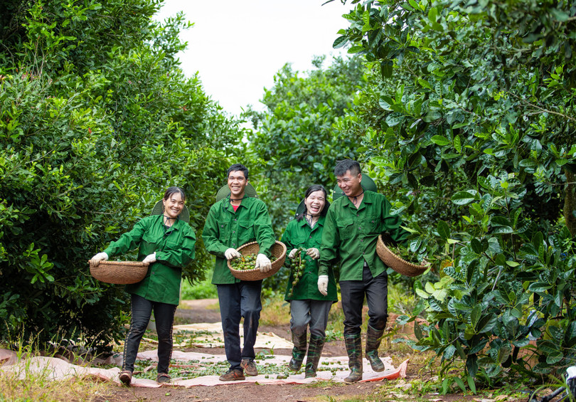 Niềm vui ngày mùa Niềm vui ngày mùa