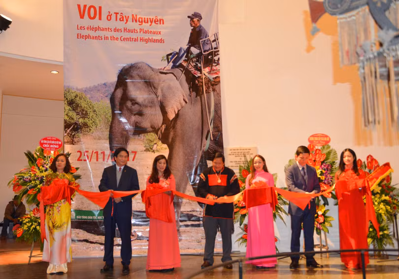 Sau 3 năm tiếp nhận và chuẩn bị, Bảo tàng Dân tộc học Việt Nam đã làm lễ giới thiệu bộ đồ nghề săn voi của gia tộc Ama Kông tại Hà Nội