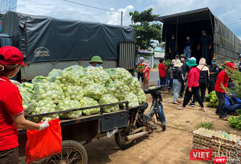 Điểm tập kết rau tại xã Hòa Khánh của nhóm "Đắk Lắk hướng về TP HCM" Điểm tập kết rau tại xã Hòa Khánh của nhóm "Đắk Lắk hướng về TP HCM"